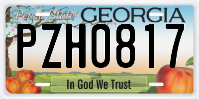 GA license plate PZH0817