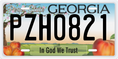 GA license plate PZH0821