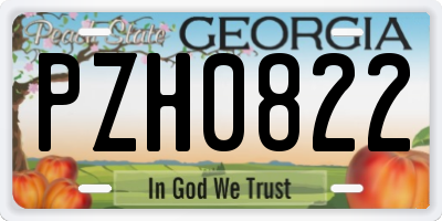 GA license plate PZH0822