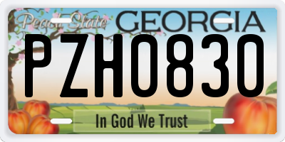 GA license plate PZH0830