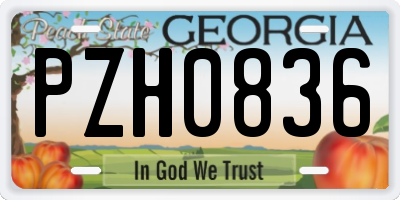 GA license plate PZH0836