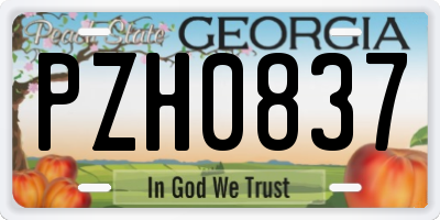 GA license plate PZH0837