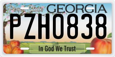 GA license plate PZH0838
