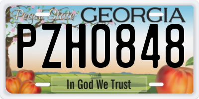 GA license plate PZH0848