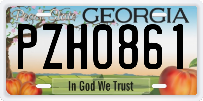 GA license plate PZH0861
