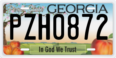 GA license plate PZH0872