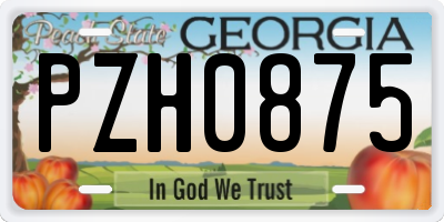 GA license plate PZH0875