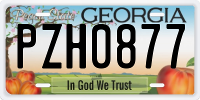GA license plate PZH0877