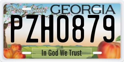 GA license plate PZH0879