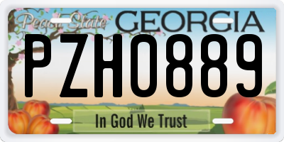 GA license plate PZH0889