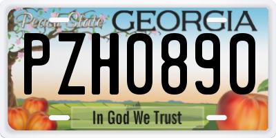 GA license plate PZH0890