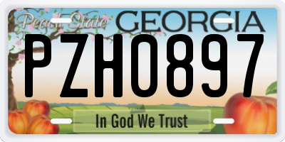GA license plate PZH0897