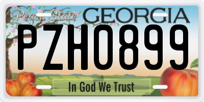 GA license plate PZH0899