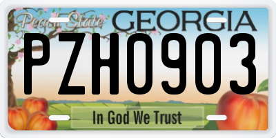 GA license plate PZH0903