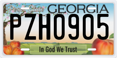 GA license plate PZH0905