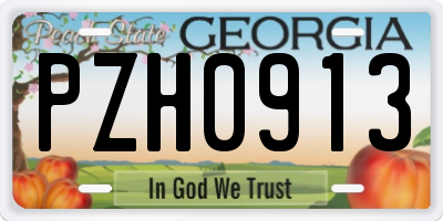 GA license plate PZH0913