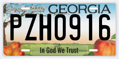 GA license plate PZH0916