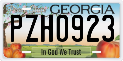 GA license plate PZH0923