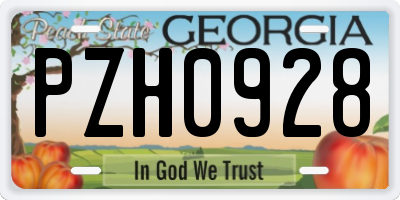 GA license plate PZH0928
