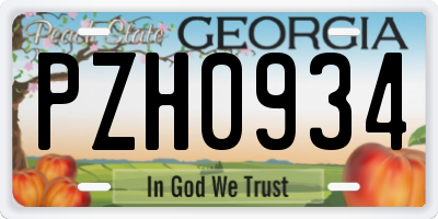 GA license plate PZH0934