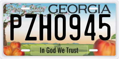 GA license plate PZH0945