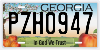 GA license plate PZH0947