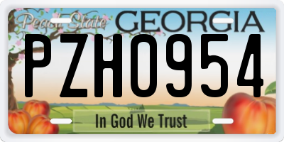 GA license plate PZH0954