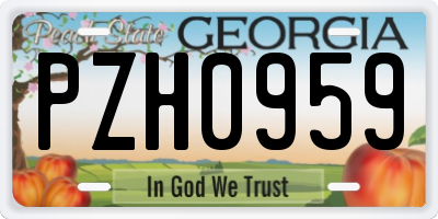 GA license plate PZH0959
