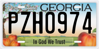 GA license plate PZH0974