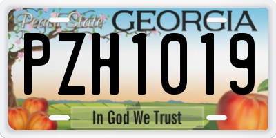 GA license plate PZH1019