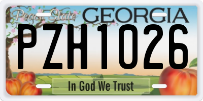 GA license plate PZH1026