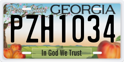 GA license plate PZH1034