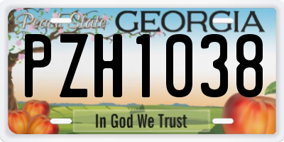 GA license plate PZH1038