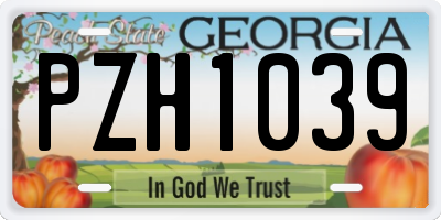 GA license plate PZH1039