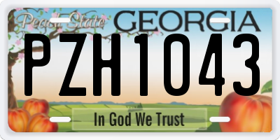 GA license plate PZH1043