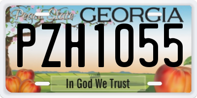 GA license plate PZH1055
