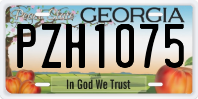 GA license plate PZH1075