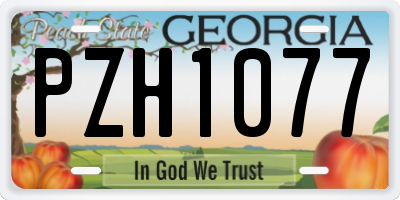 GA license plate PZH1077