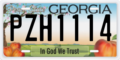 GA license plate PZH1114