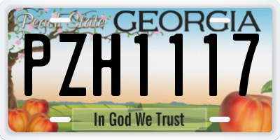 GA license plate PZH1117