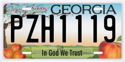 GA license plate PZH1119