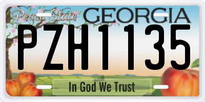 GA license plate PZH1135