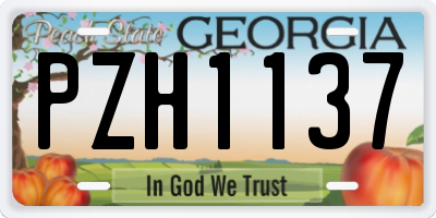 GA license plate PZH1137