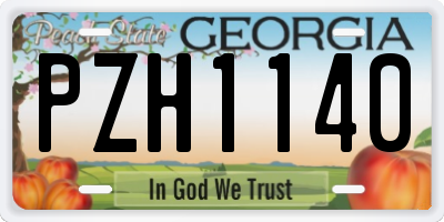 GA license plate PZH1140