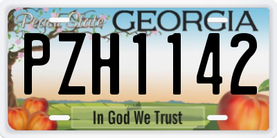 GA license plate PZH1142