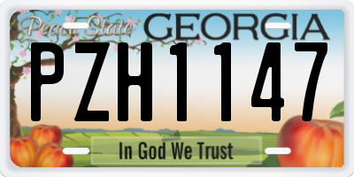 GA license plate PZH1147