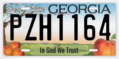 GA license plate PZH1164