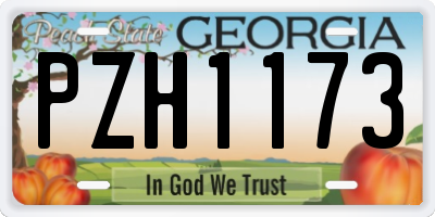 GA license plate PZH1173