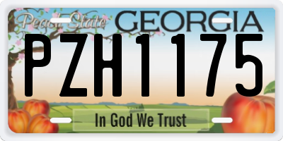 GA license plate PZH1175