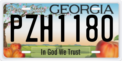 GA license plate PZH1180